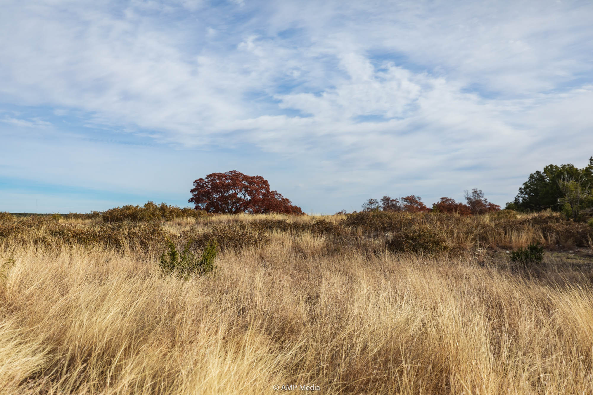 Property Photo 60 Property photograph 60