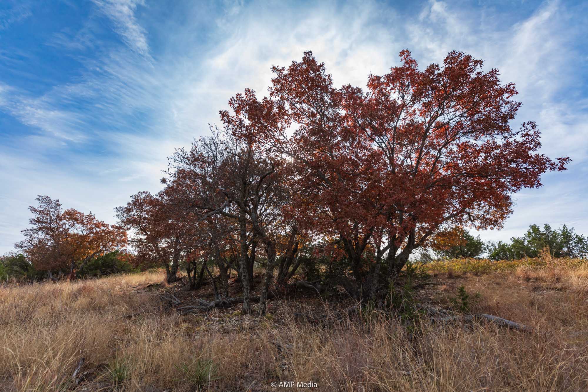 Property Photo 63 Property photograph 63