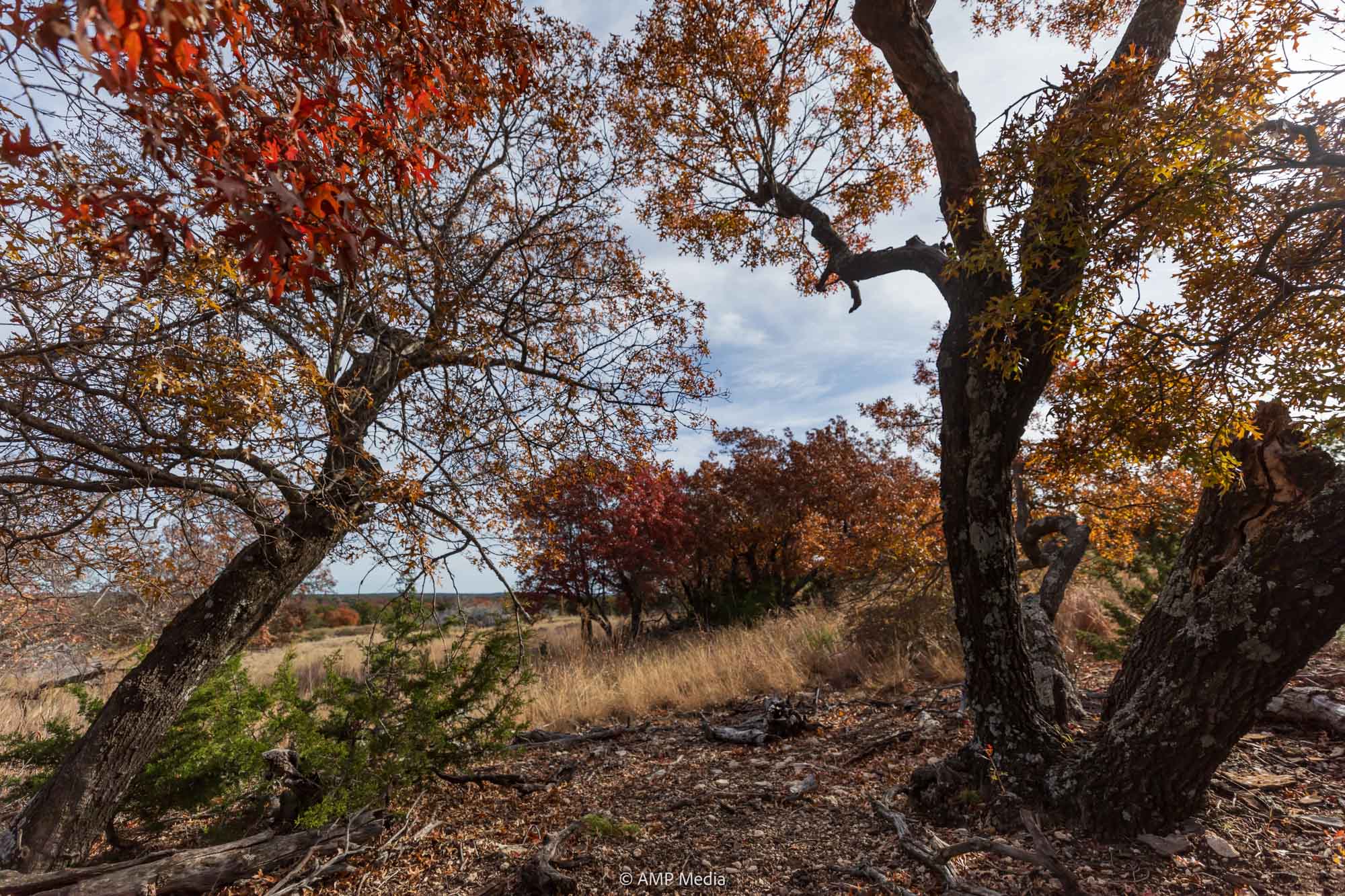 Property Photo 64 Property photograph 64