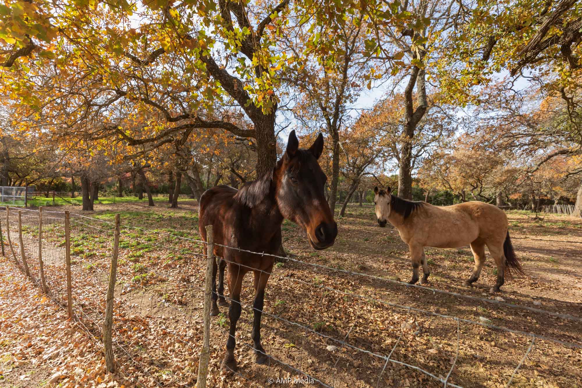 Property Photo 66 Property photograph 66