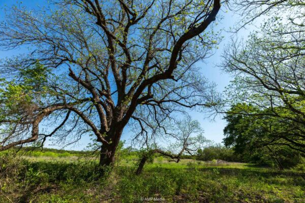 Property photograph 01