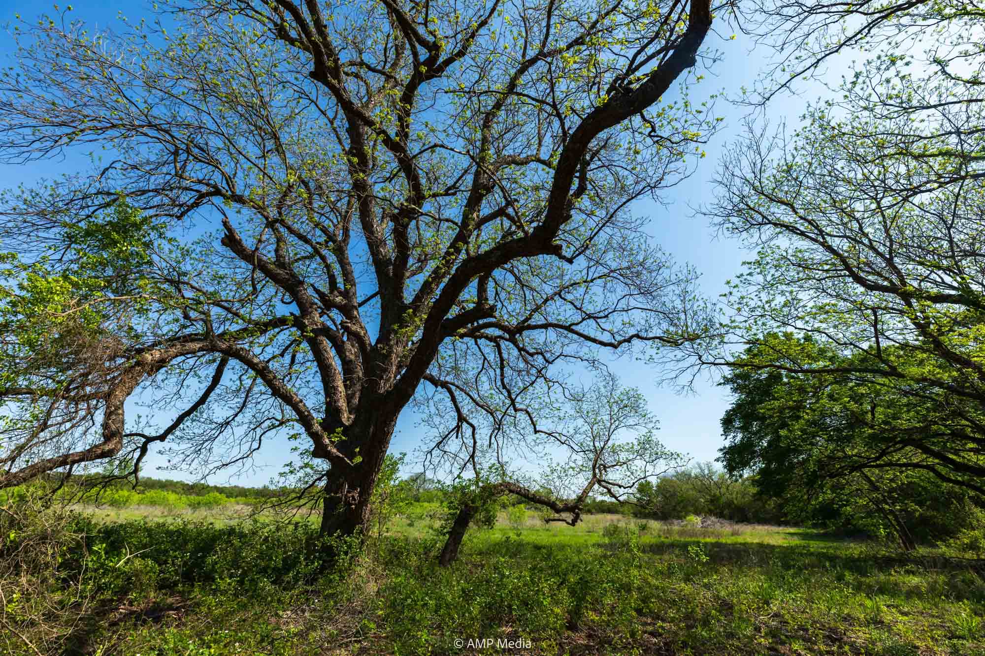 Property Photo 01 Property photograph 01