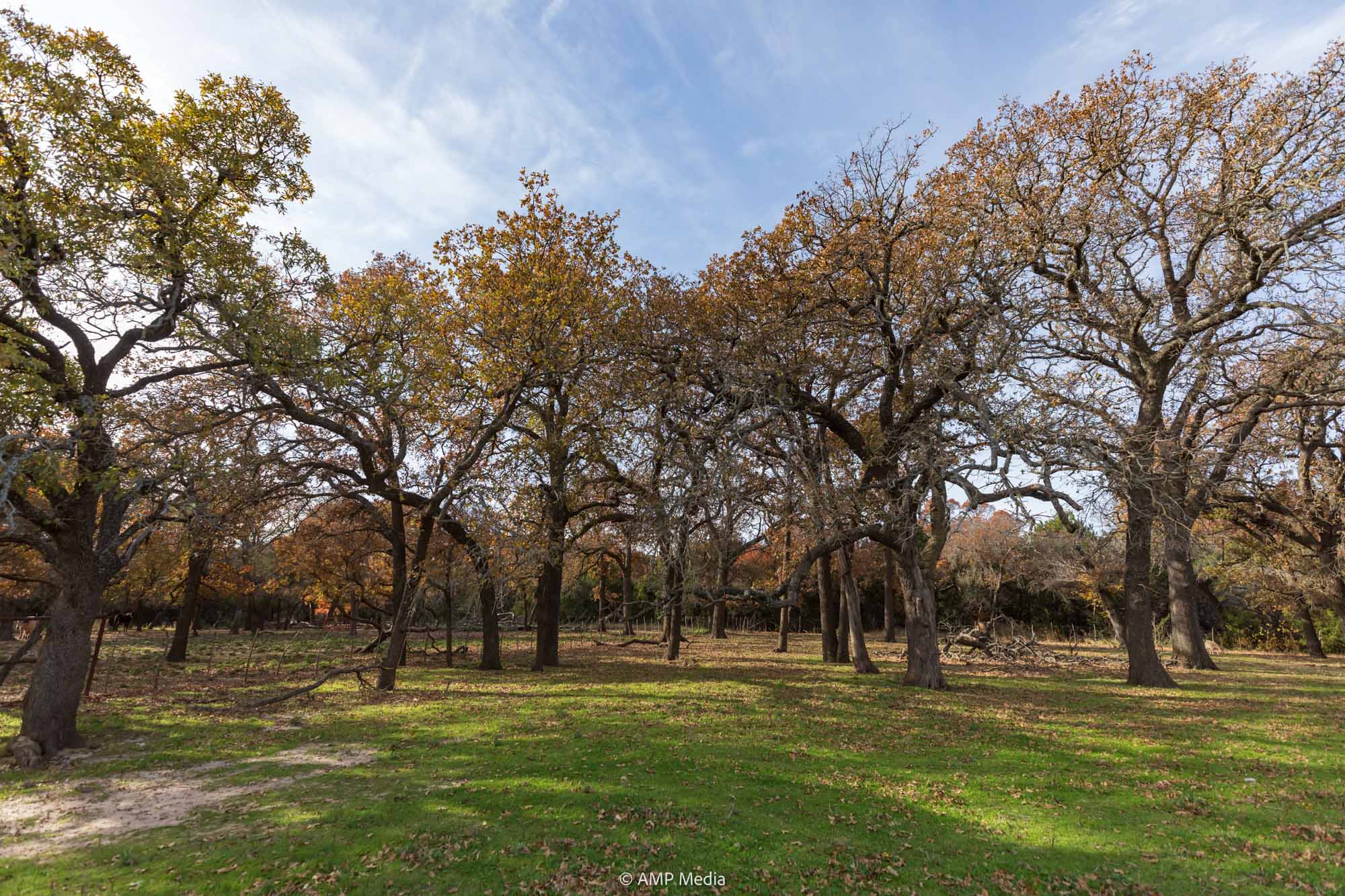 Property Photo 07 Property photograph 07