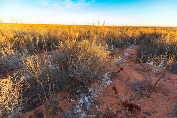 Property photograph 01