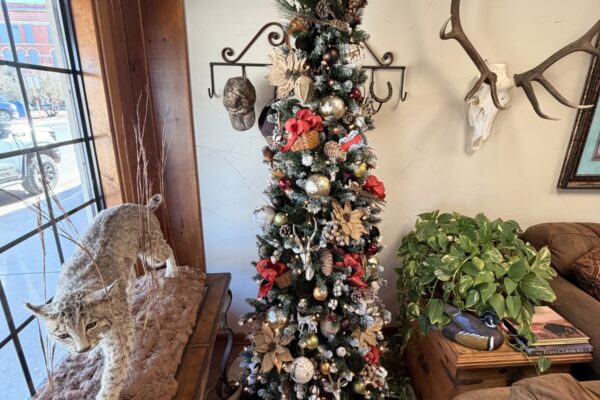 Christmas Traditions for Your Home