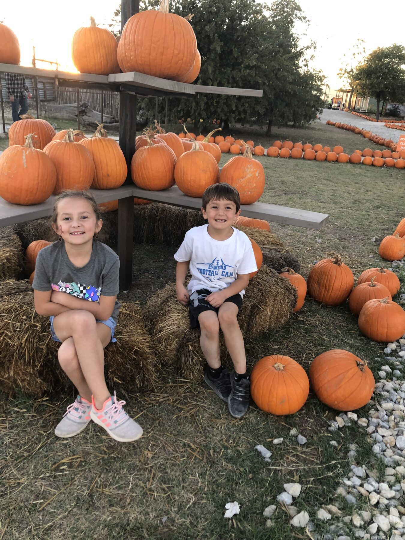Children sitting among pumpkins outdoors