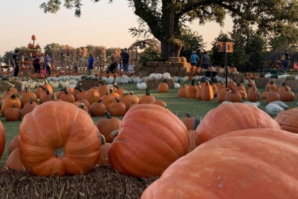 Fall Family Fun in Abilene