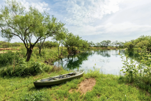 2024 Texas Real Estate Market - Ekdahl  Real Estate