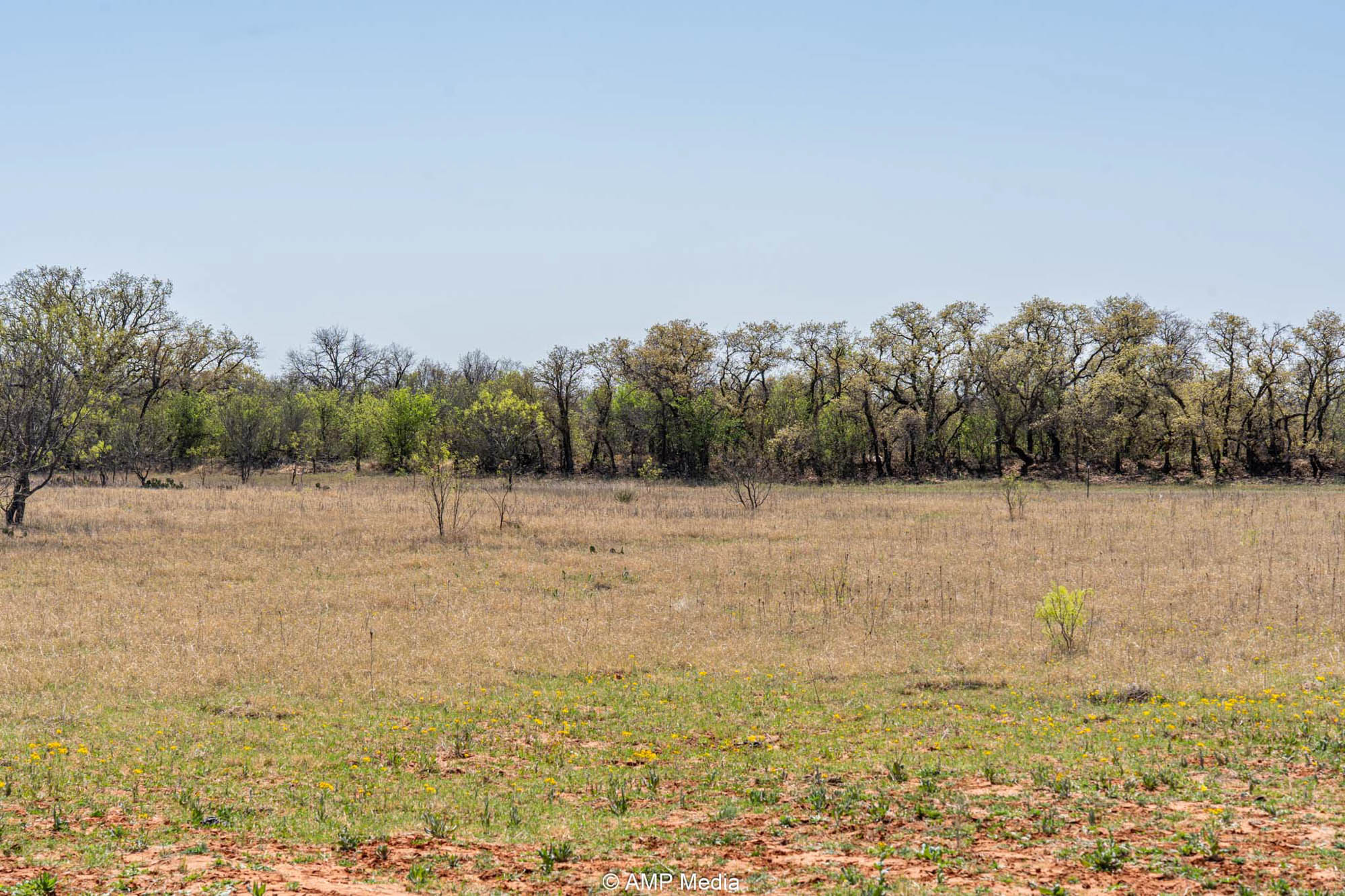 Property Photo 04 Property photograph 04