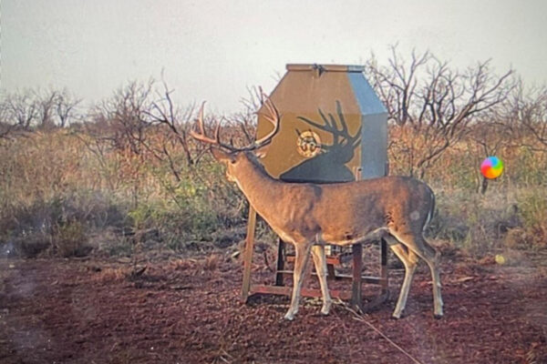 Property photograph 01